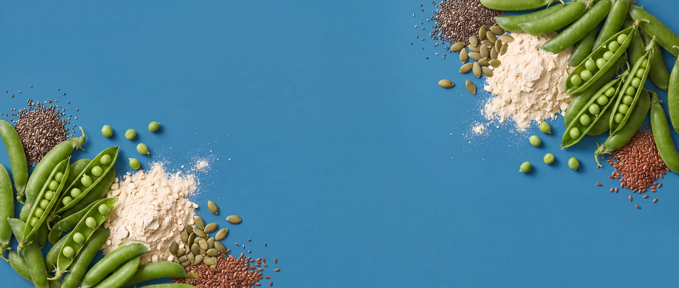 Plant Protein Plant Protein